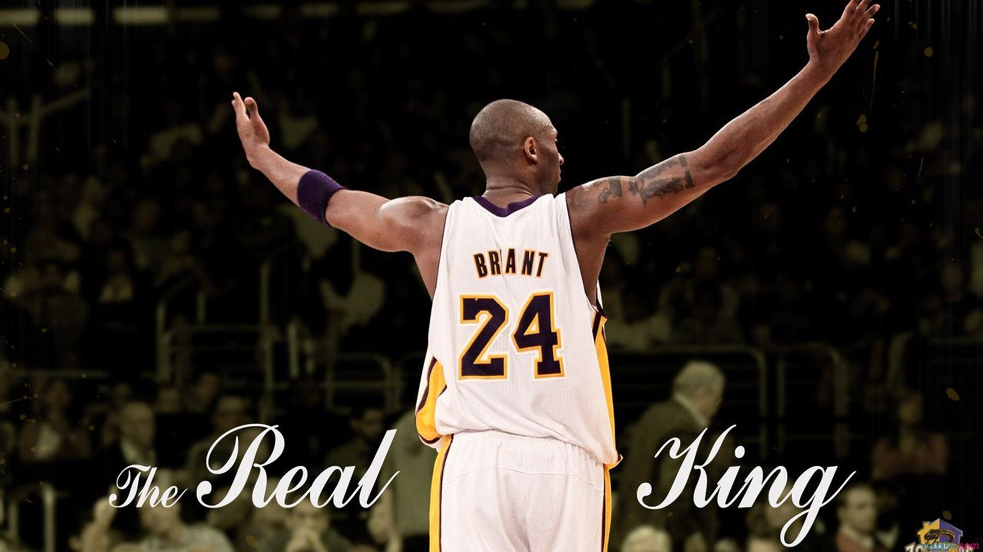 中国篮球职业联赛经济效益分析与策略研究,篮球经济环境分析